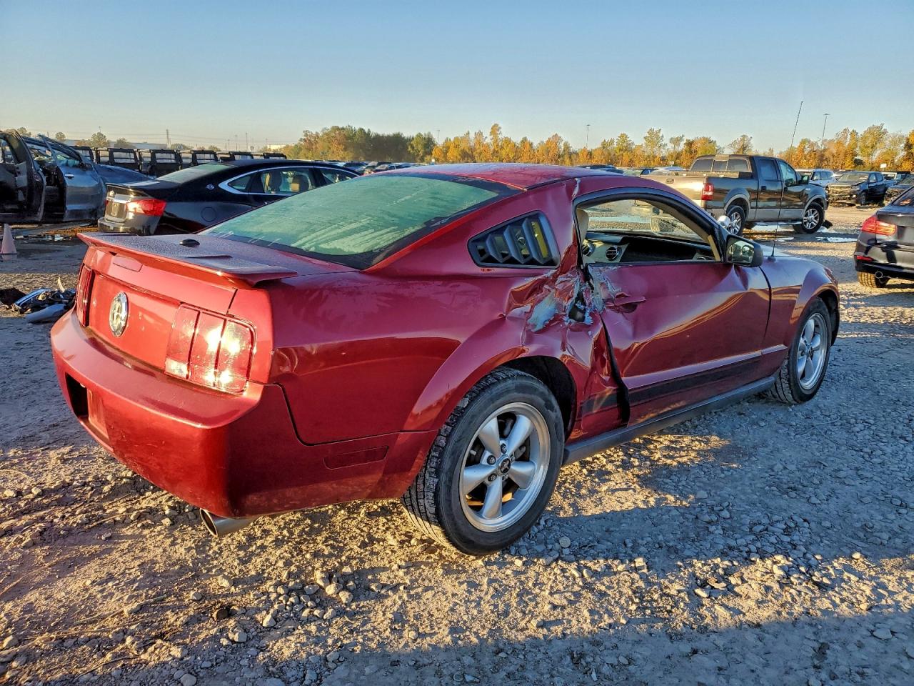 Lot #3311609263 2009 FORD MUSTANG