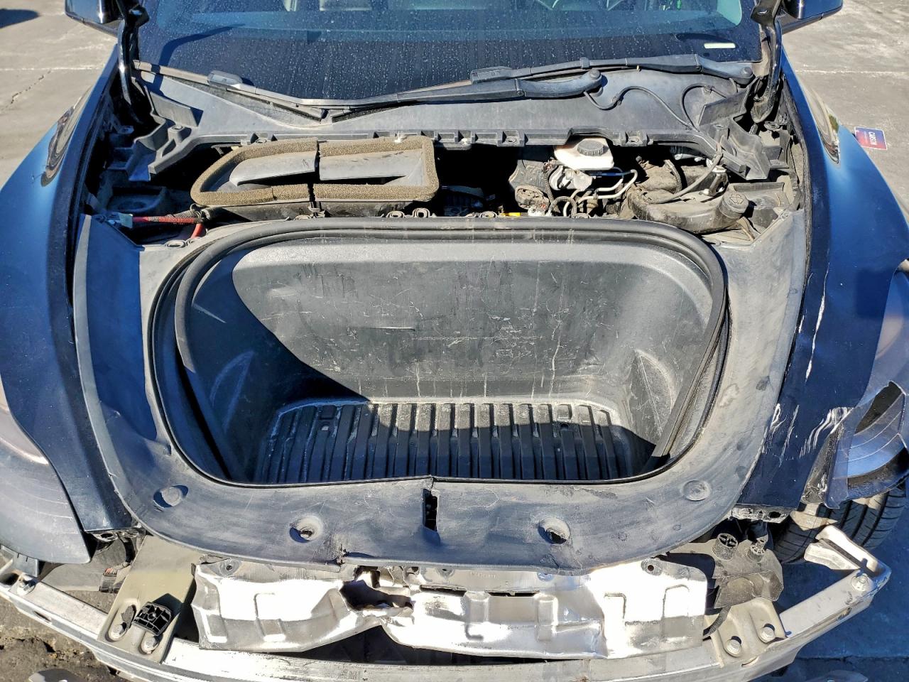 Lot #3309772853 2021 TESLA MODEL Y