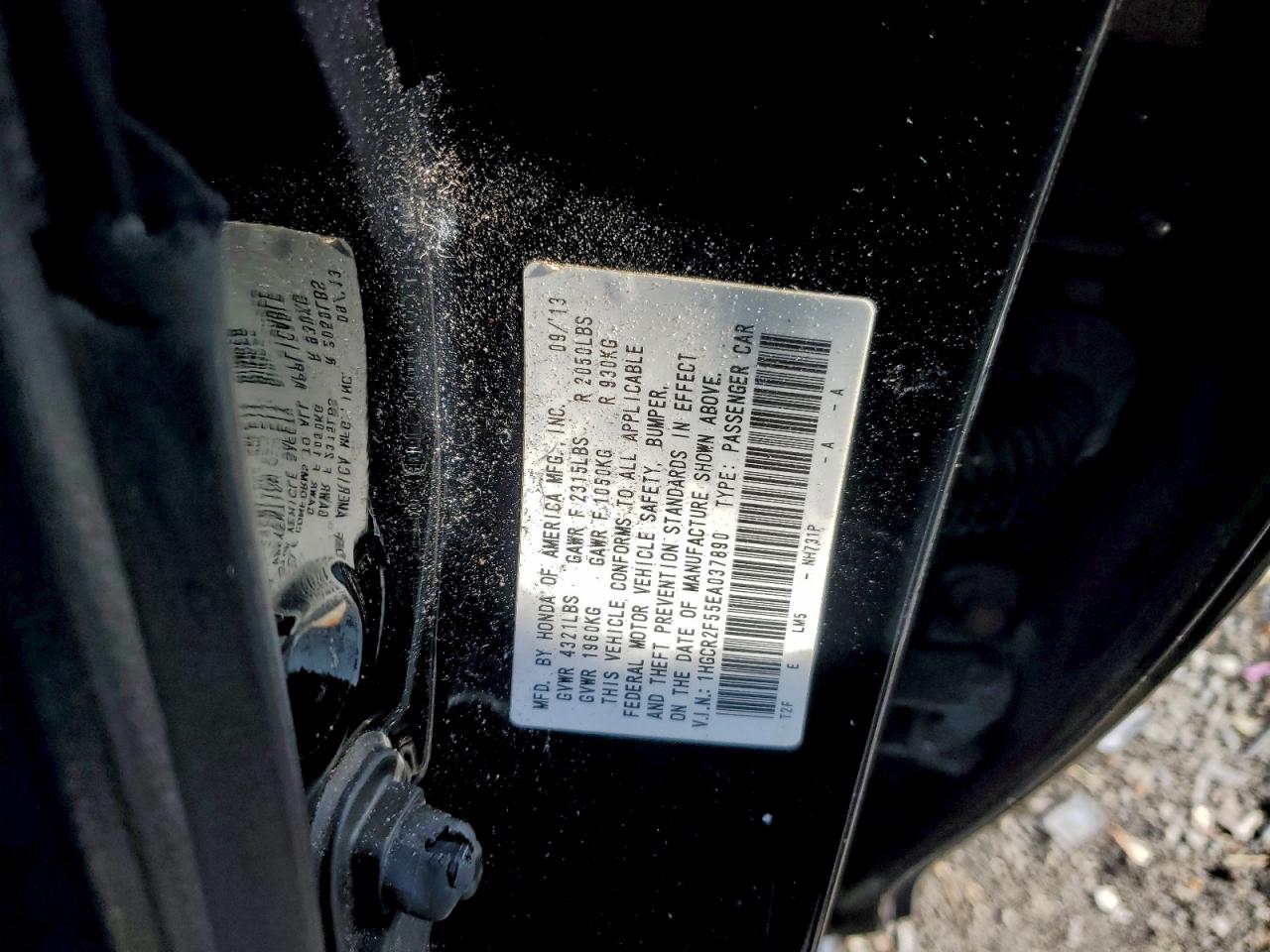 Lot #3305301365 2014 HONDA ACCORD SPO