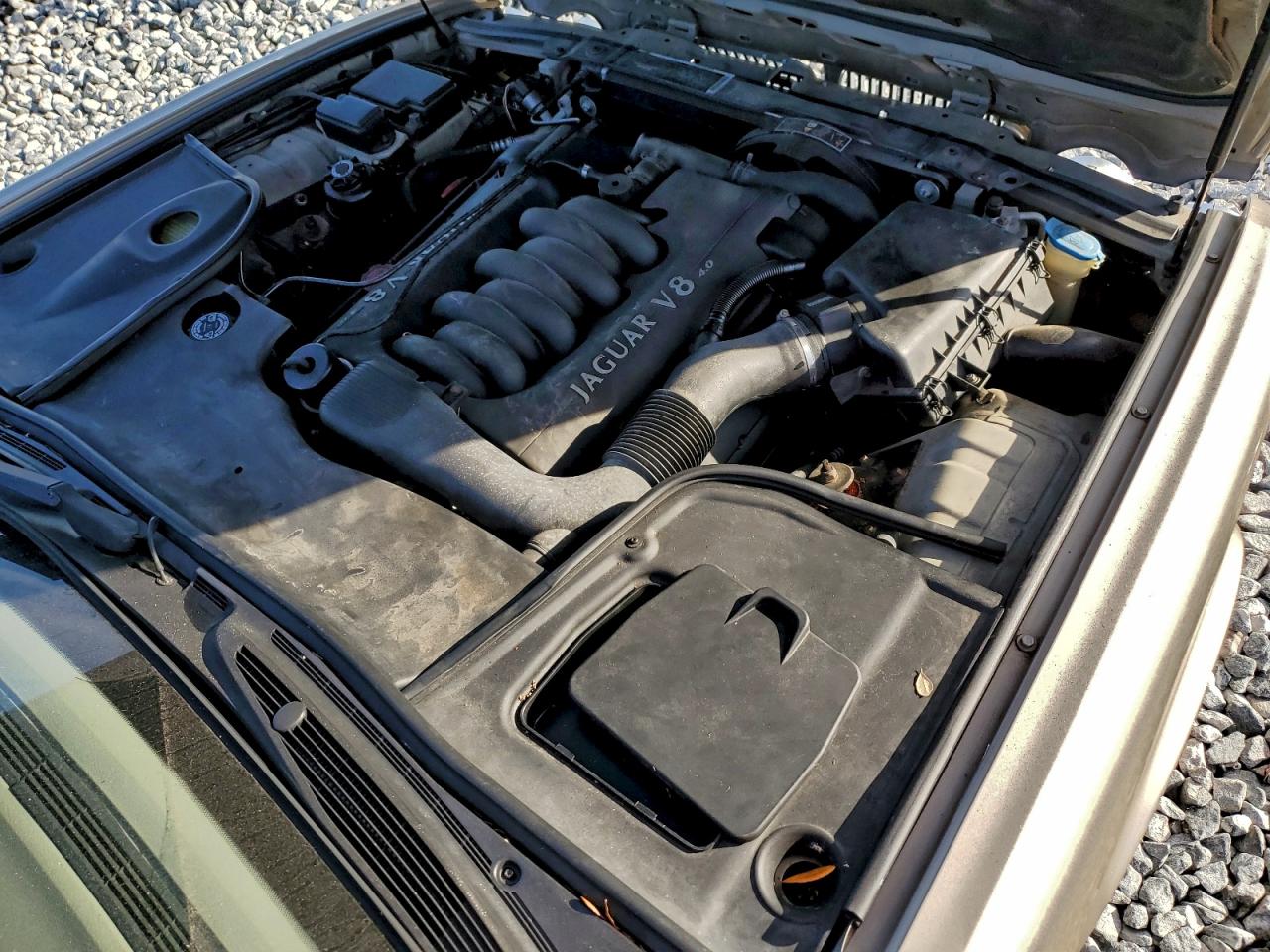 Lot #3312391124 1998 JAGUAR VANDENPLAS