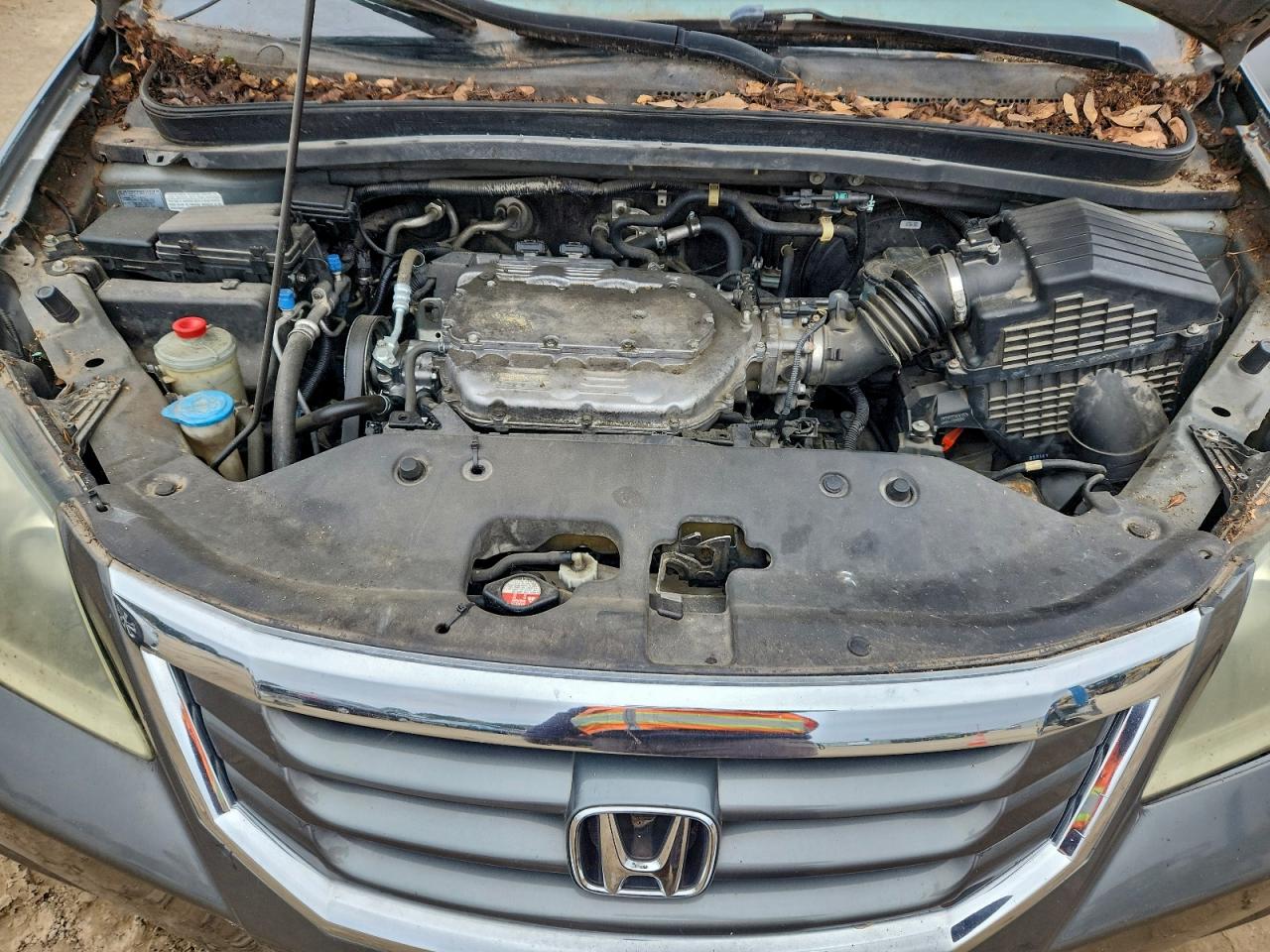 Lot #3310315968 2008 HONDA ODYSSEY