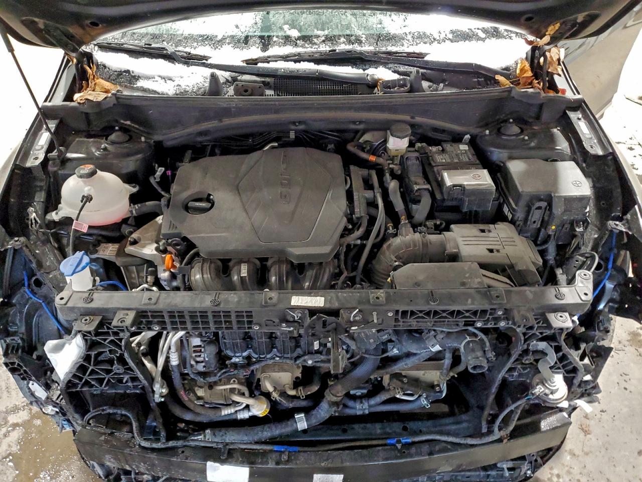 Lot #3315704723 2025 KIA SPORTAGE E