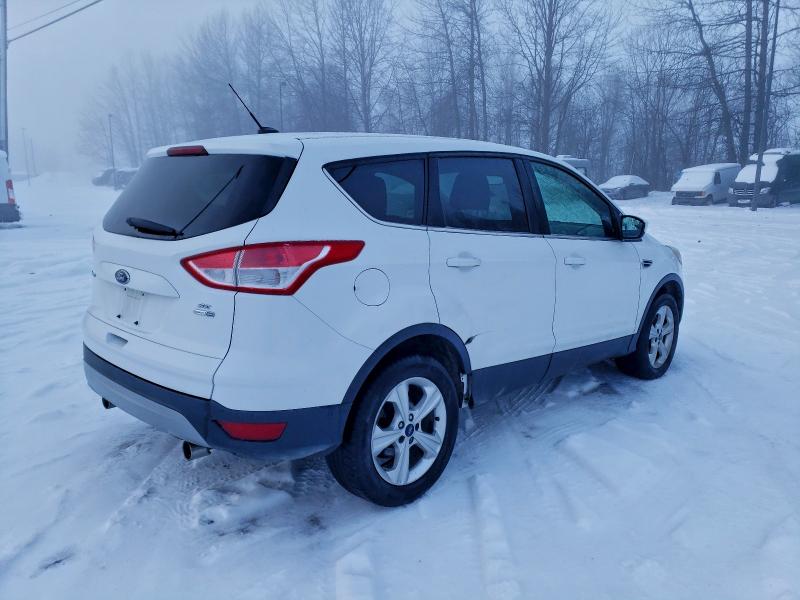 2013 FORD ESCAPE SE #3302708079