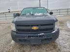 Lot #3311623308 2013 CHEVROLET SILVERADO