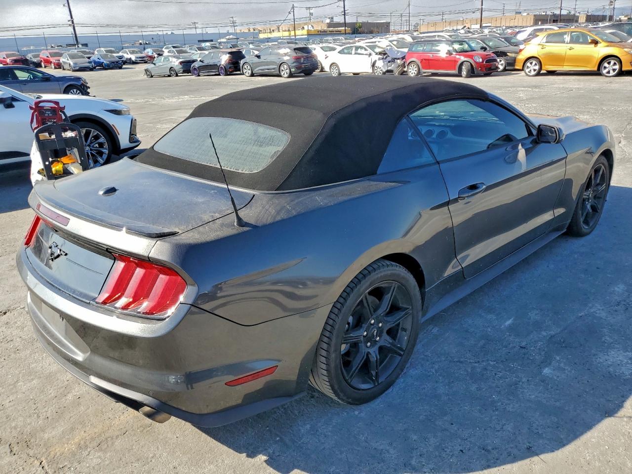 Lot #3309605616 2019 FORD MUSTANG