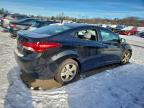 Lot #3316715511 2013 HYUNDAI ELANTRA GL