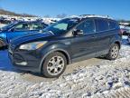 Lot #3320110510 2015 FORD ESCAPE TIT
