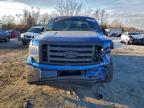 Lot #3317001257 2013 FORD F150