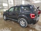 Lot #3305374319 2011 FORD ESCAPE XLT