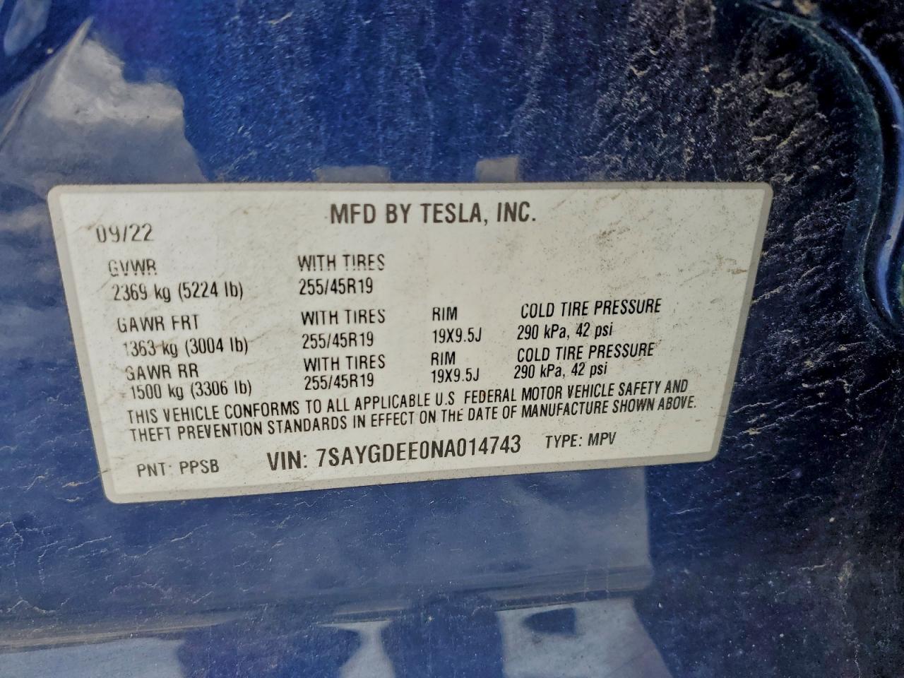 TESLA MODEL Y