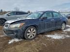 Lot #3303946691 2009 HONDA ACCORD EXL