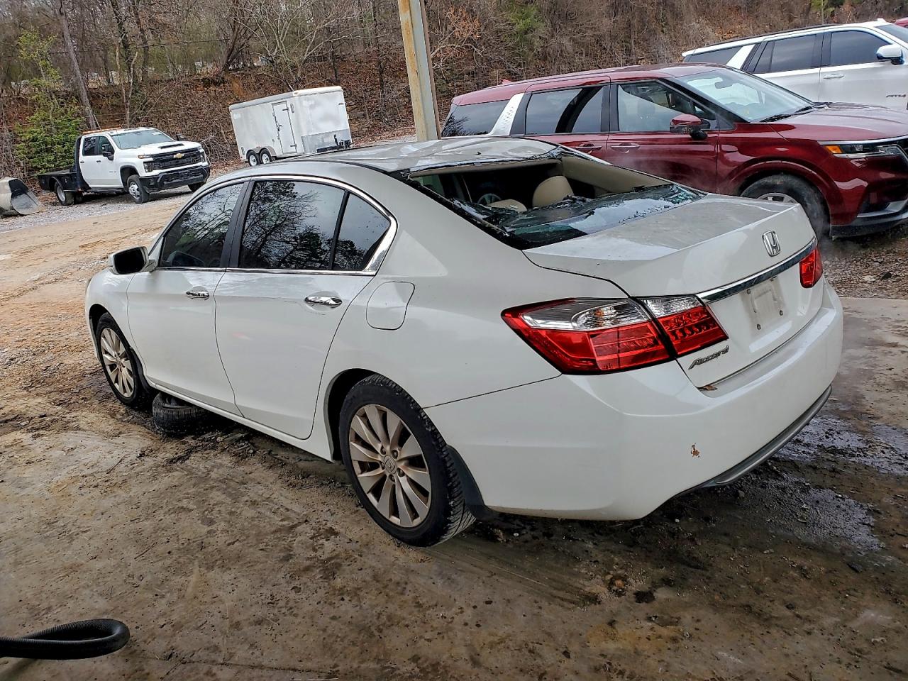 Lot #3309583616 2013 HONDA ACCORD EXL