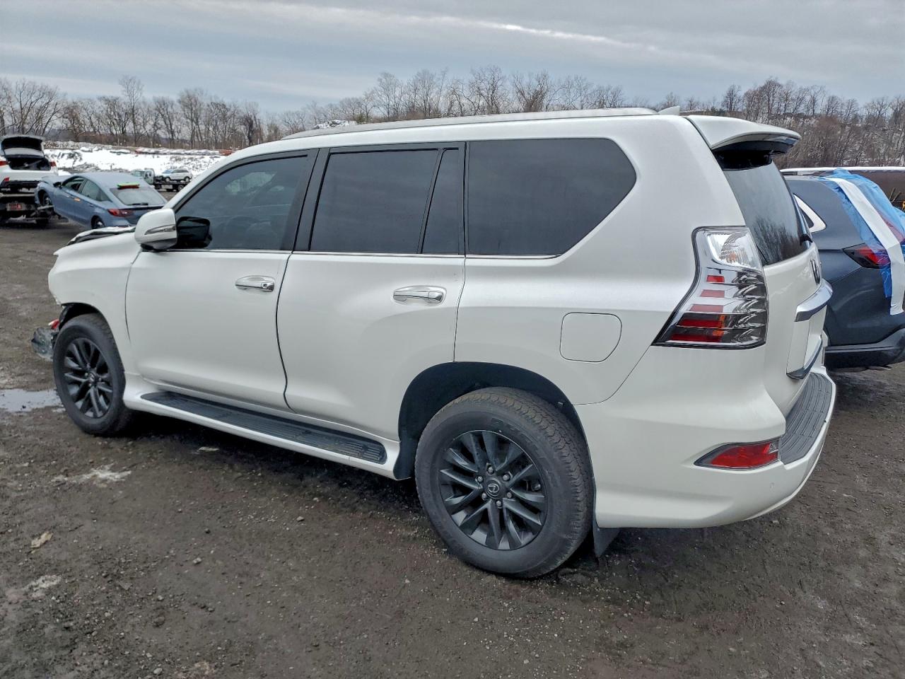 Lot #3304516524 2022 LEXUS GX 460