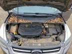 Lot #3309500592 2014 FORD ESCAPE TIT