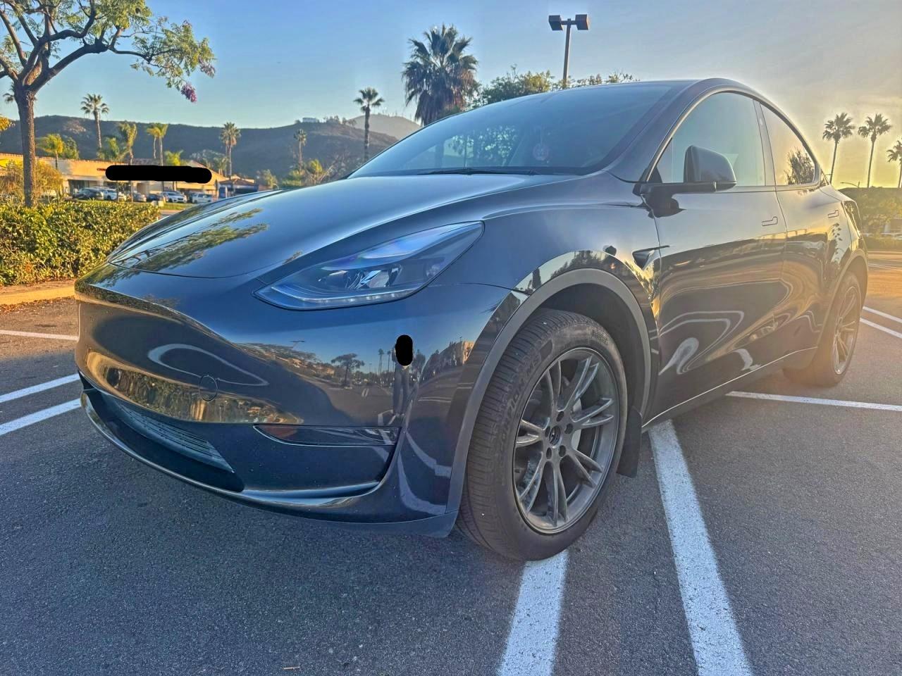 Lot #3308243185 2025 TESLA MODEL Y