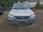 Lot #3308276155 2006 FORD ESCAPE HEV