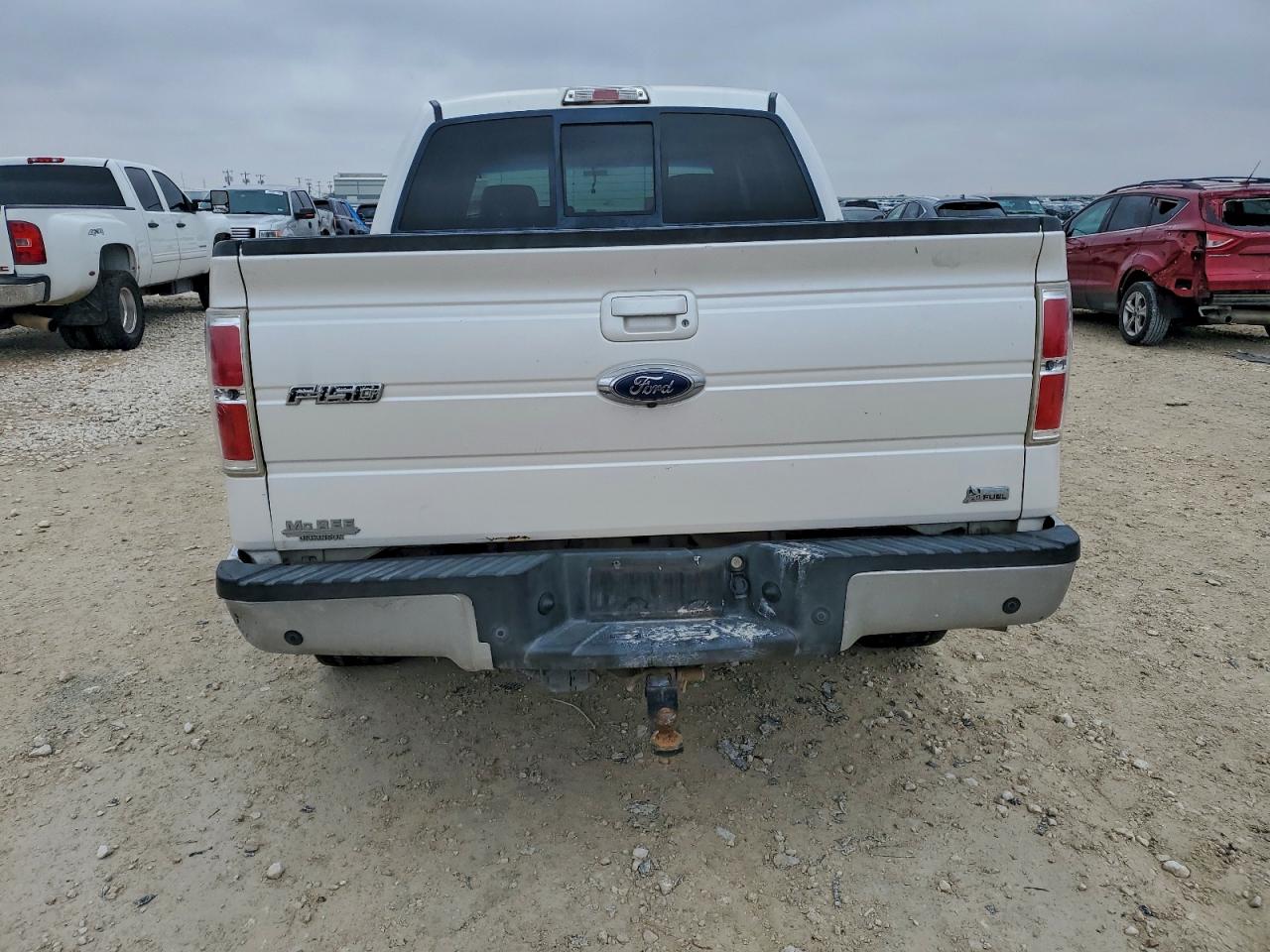 Lot #3316025764 2010 FORD F150 SUPER