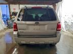 Lot #3317779072 2008 FORD ESCAPE XLT