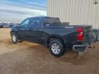 Lot #3320076453 2023 CHEVROLET SILVERADO