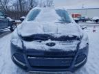 Lot #3317770084 2016 FORD ESCAPE SE