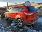 Lot #3304714930 2016 FORD ESCAPE SE