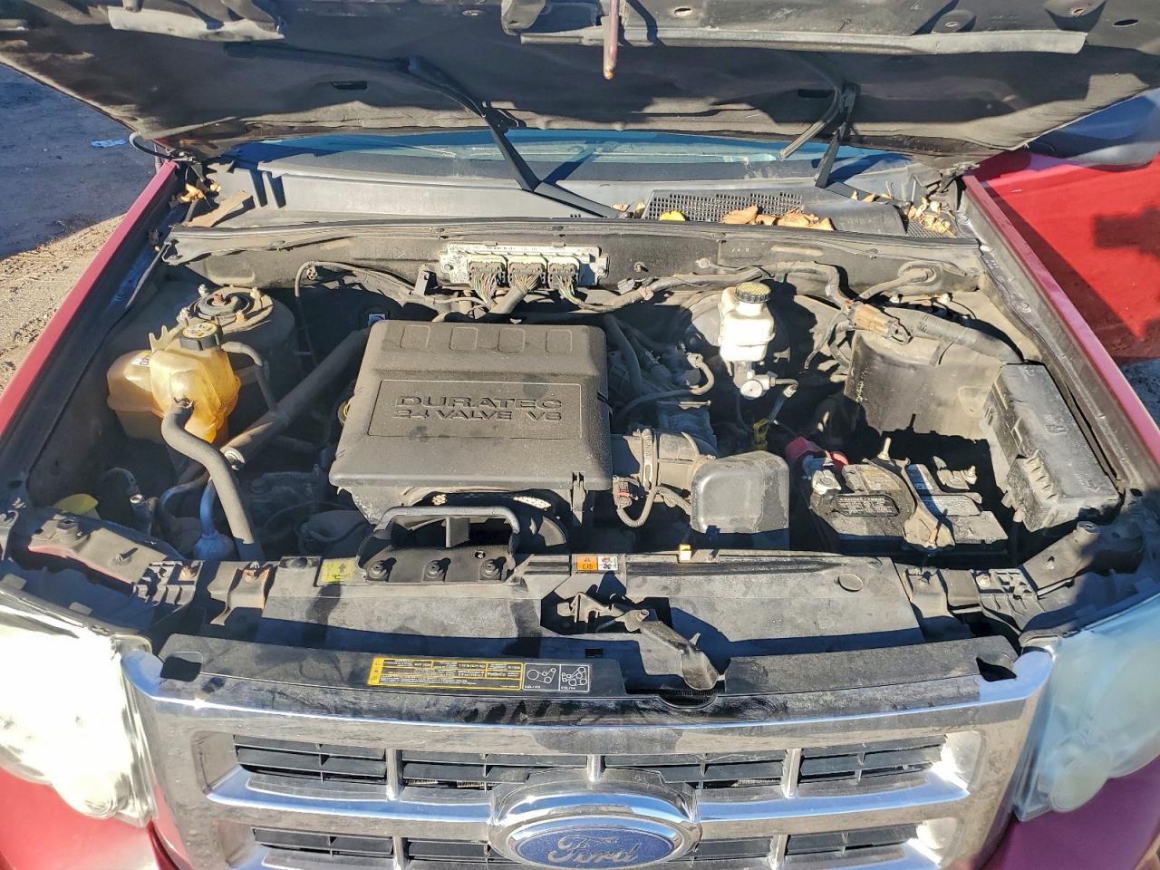 Lot #3315846153 2010 FORD ESCAPE XLT