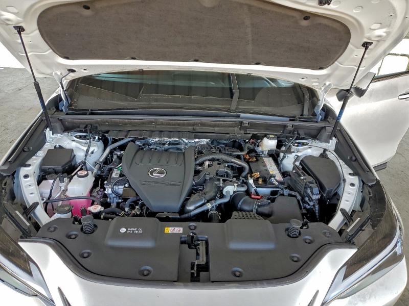 2025 LEXUS NX 350 PRE #3310626825