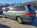 Lot #3303572932 2008 HONDA ODYSSEY EX