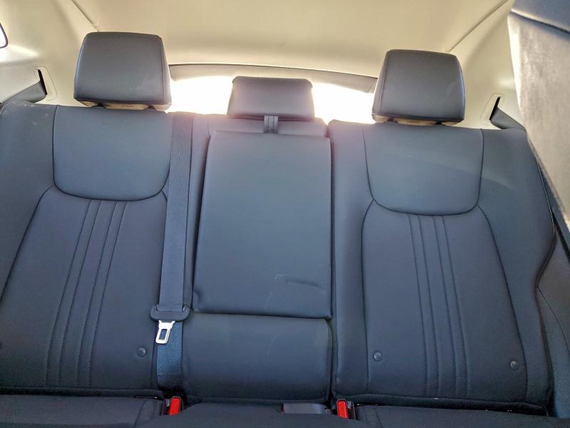 2024 LEXUS NX 250 BAS #3316980093