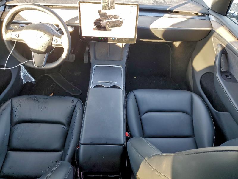 2023 TESLA MODEL Y #3303882715