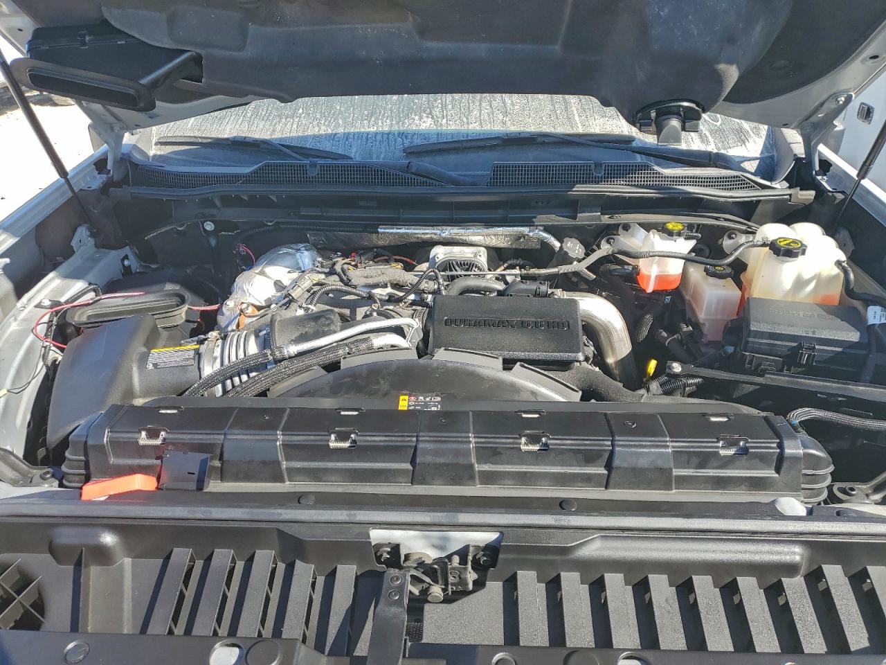 Lot #3311608231 2024 CHEVROLET SILVERADO