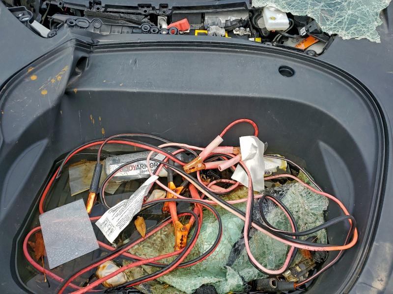 2020 TESLA MODEL 3 #3303510907