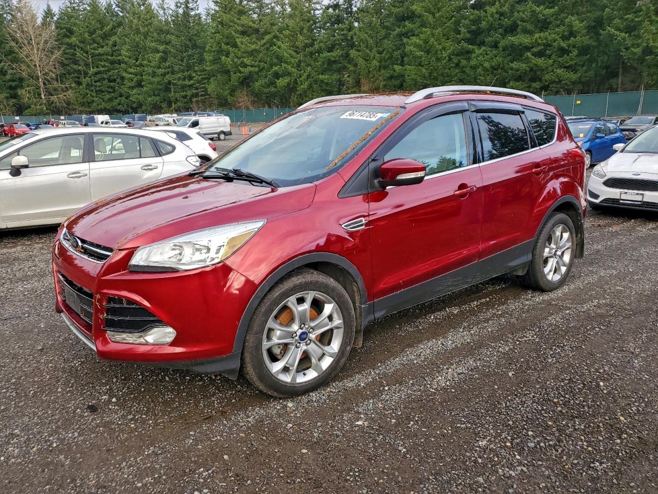 Lot #3316081292 2014 FORD ESCAPE TIT