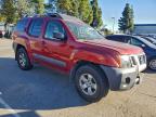 Lot #3303002642 2013 NISSAN XTERRA X