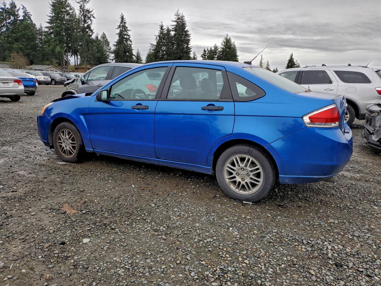 Lot #3311656263 2011 FORD FOCUS SE