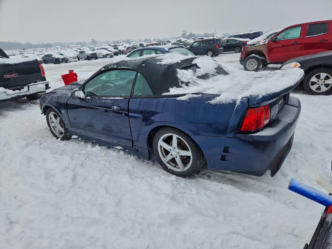 Lot #3304645944 2003 FORD MUSTANG GT