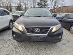 Lot #3309525566 2010 LEXUS RX 350