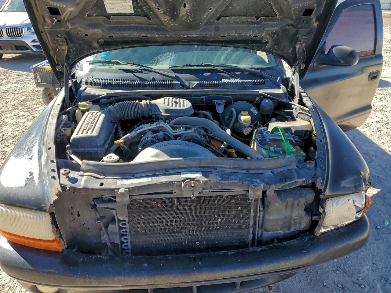 Lot #3318143375 1997 DODGE DAKOTA