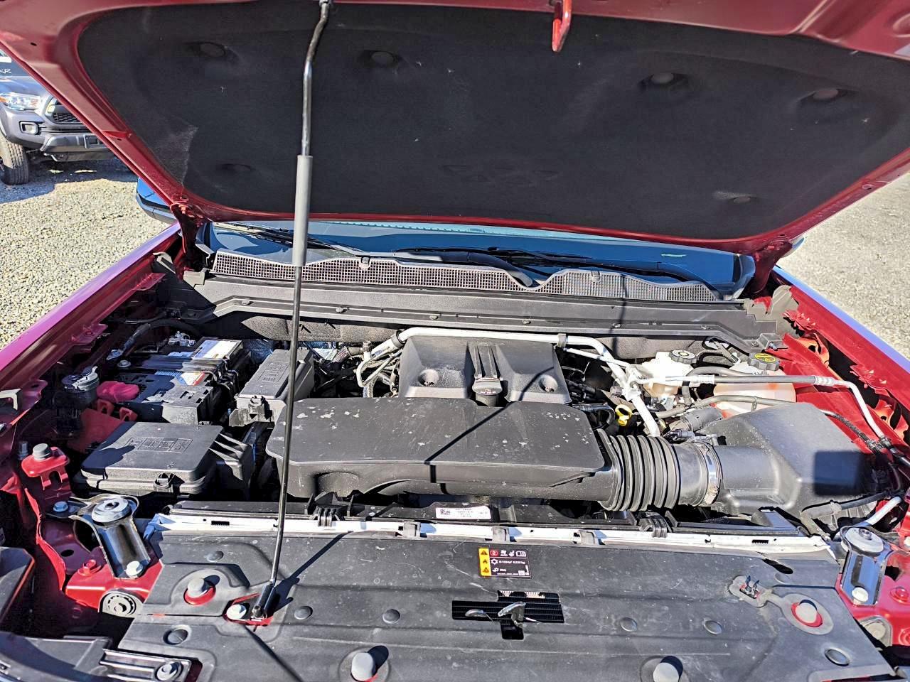 Lot #3302846910 2024 CHEVROLET COLORADO T