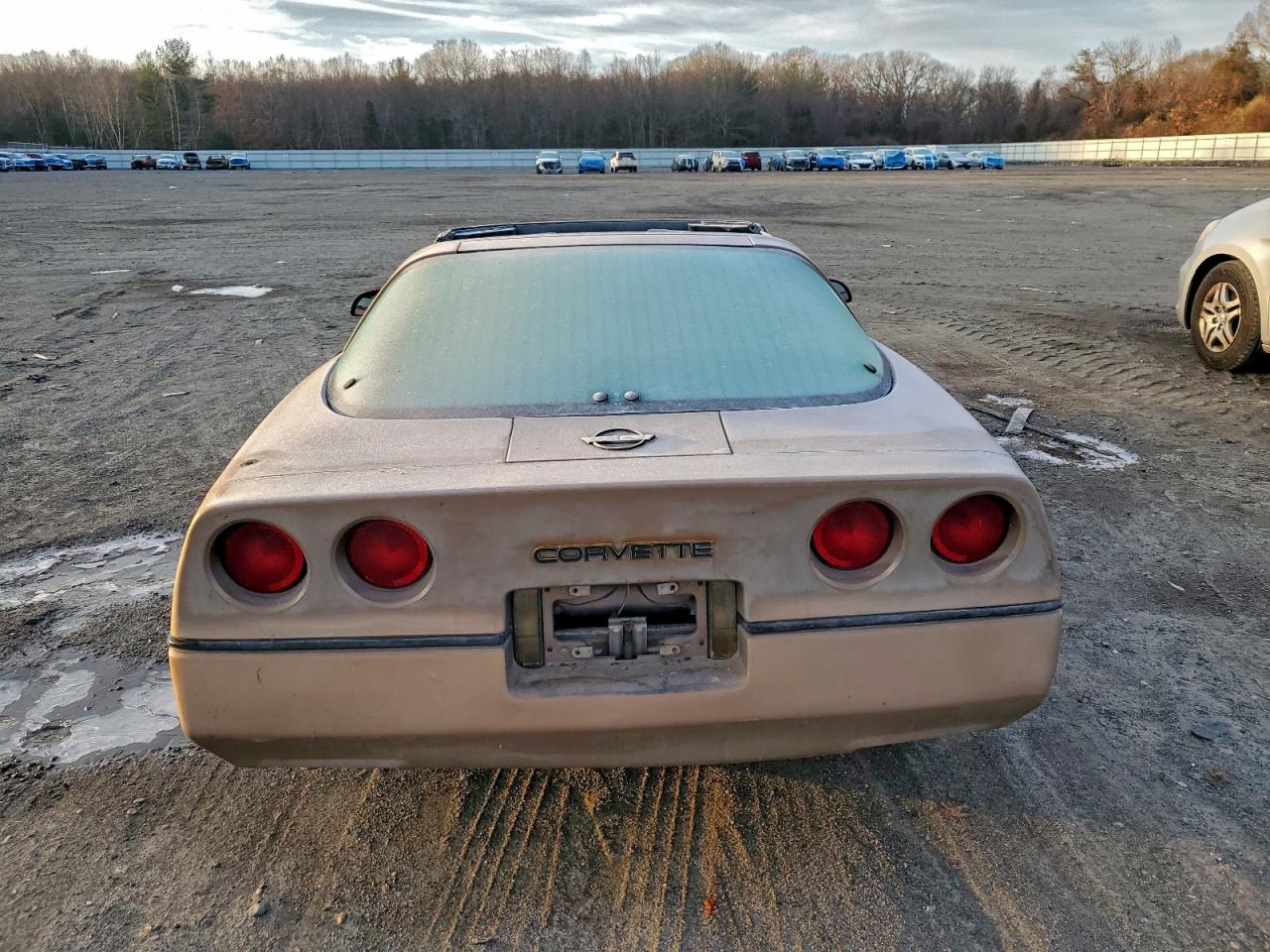 Lot #3304488439 1984 CHEVROLET CORVETTE
