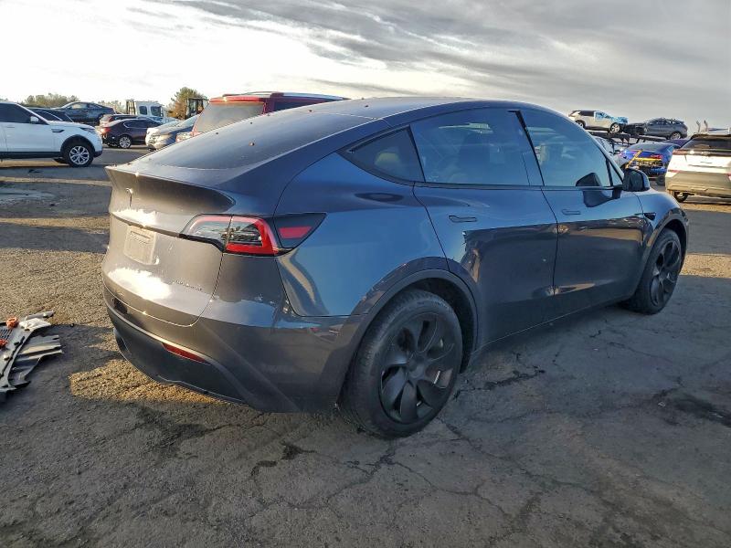 2023 TESLA MODEL Y #3301892555