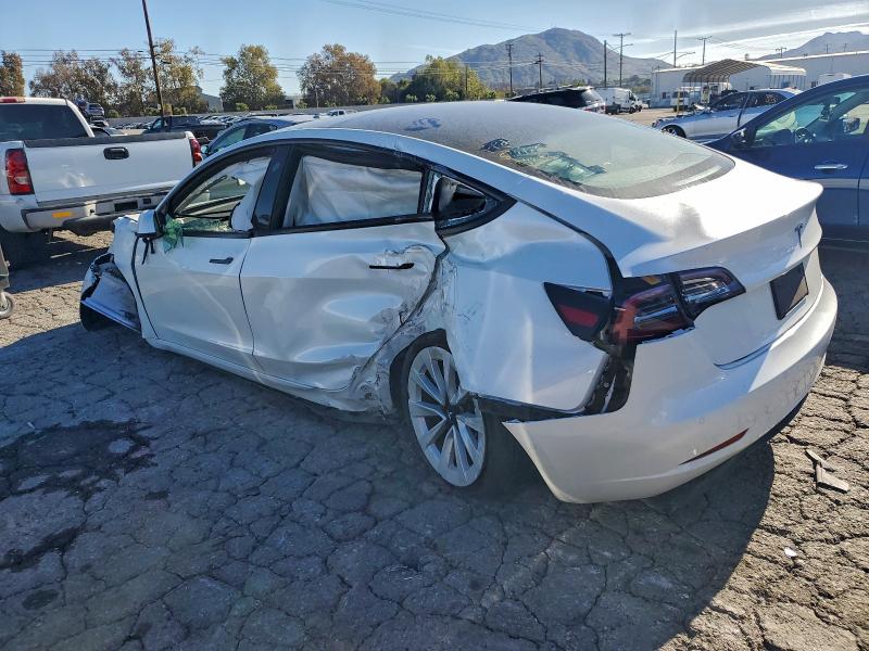 2022 TESLA MODEL 3 #3304501539