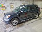 Lot #3304744949 2007 HONDA CR-V EXL