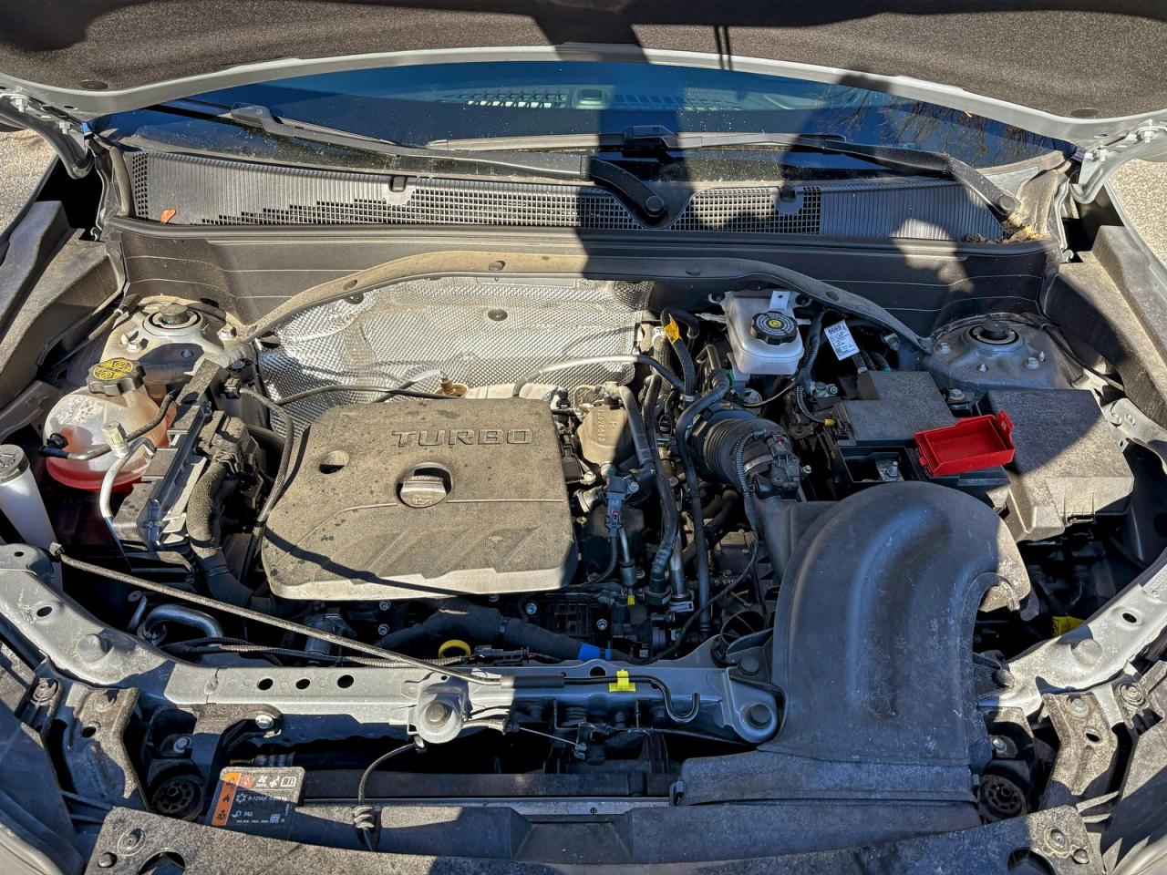 Lot #3312290781 2025 CHEVROLET TRAILBLAZE