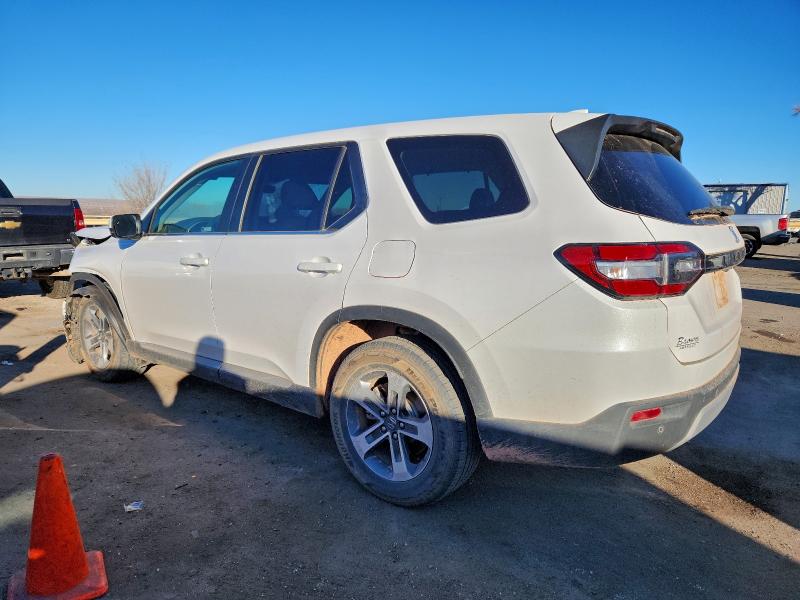 2024 HONDA PILOT EXL #3319078275