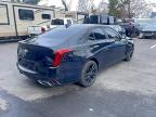 Lot #3309348976 2023 CADILLAC CT4 LUXURY