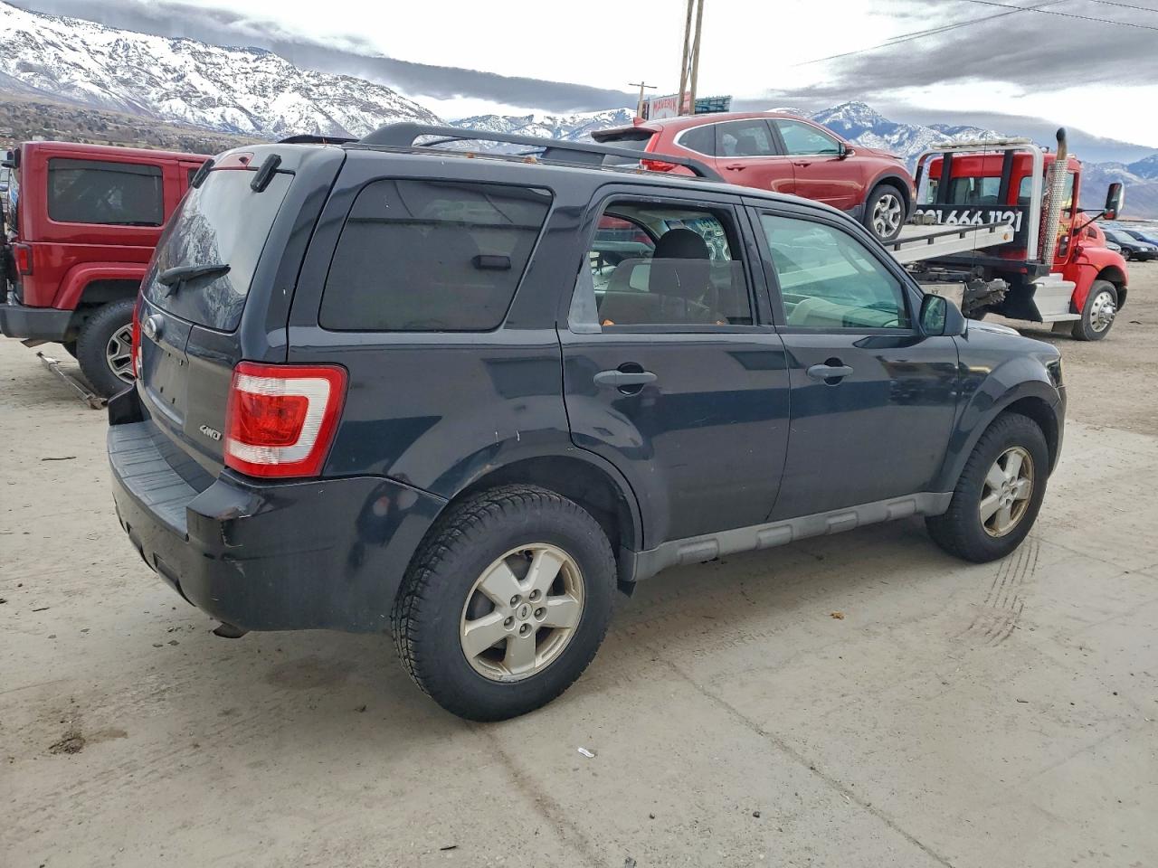 Lot #3309610551 2009 FORD ESCAPE XLT