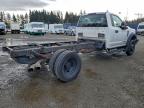 Lot #3317722080 2017 FORD SUPER DUTY F