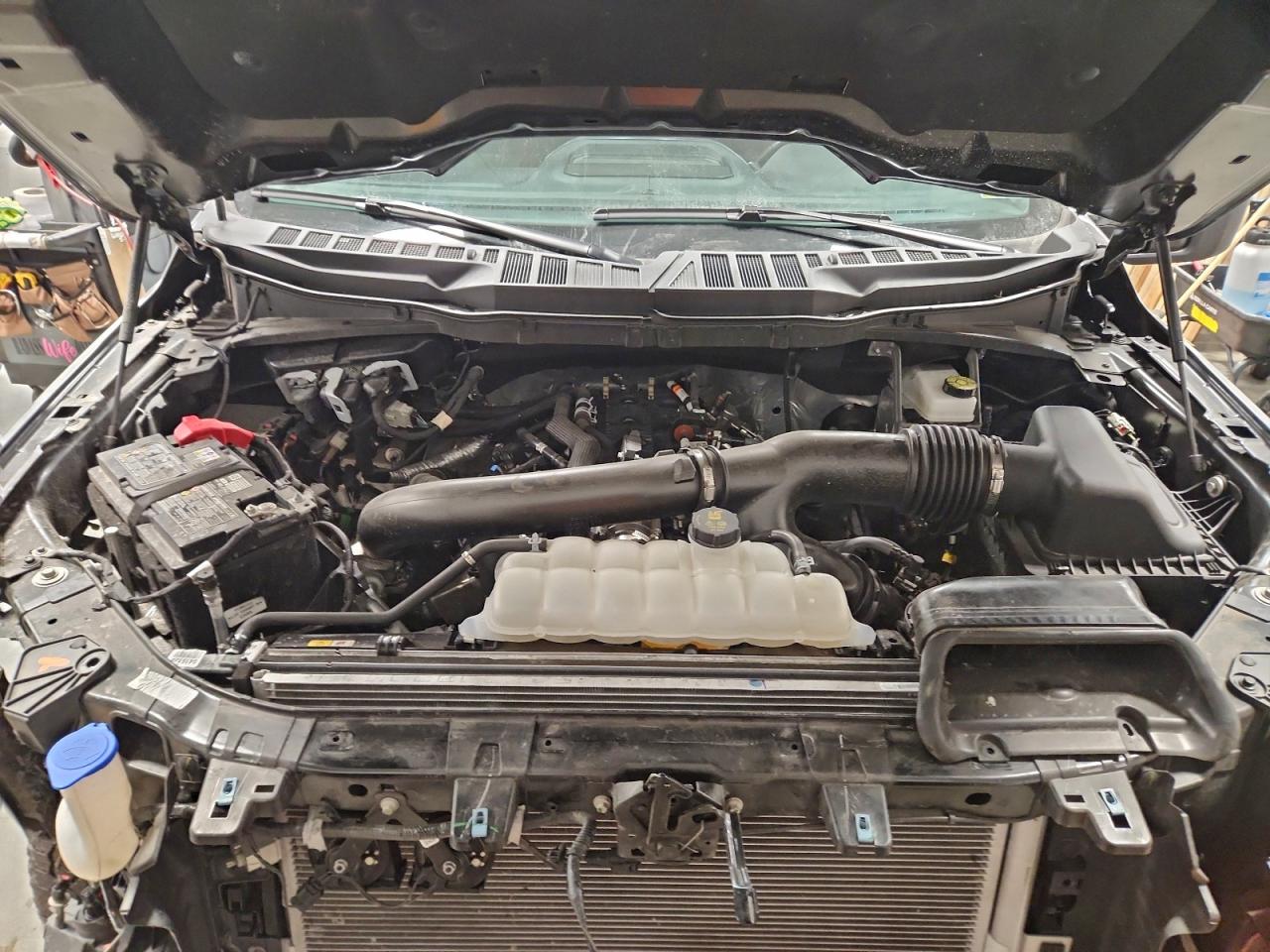 Lot #3311594763 2025 FORD F150 XLT