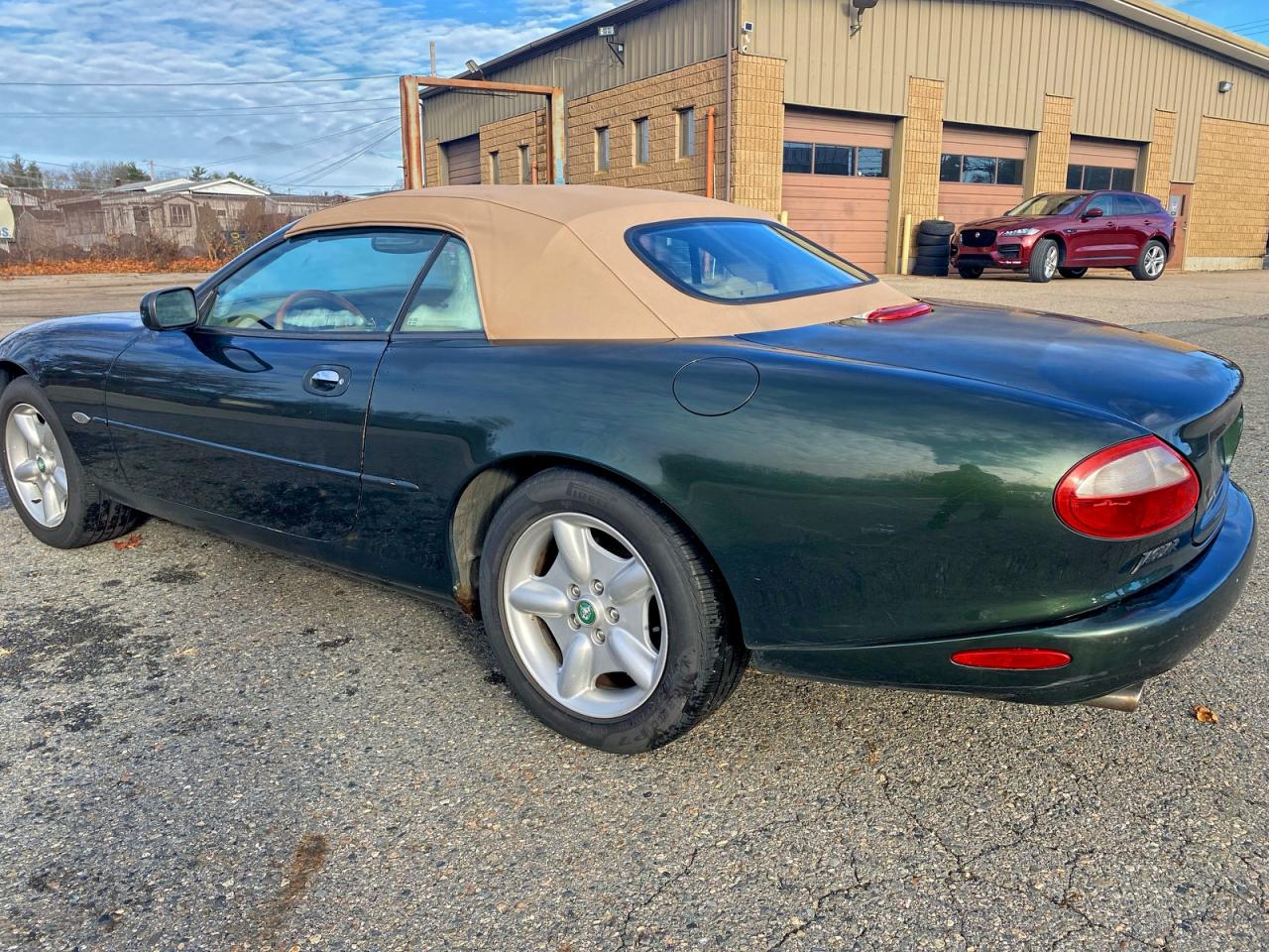Lot #3304518456 1997 JAGUAR XK8